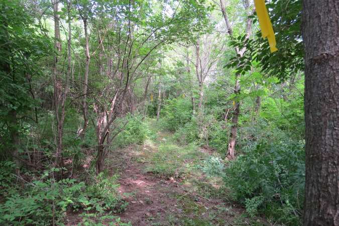 Big Blue Battlefield Walking Trail