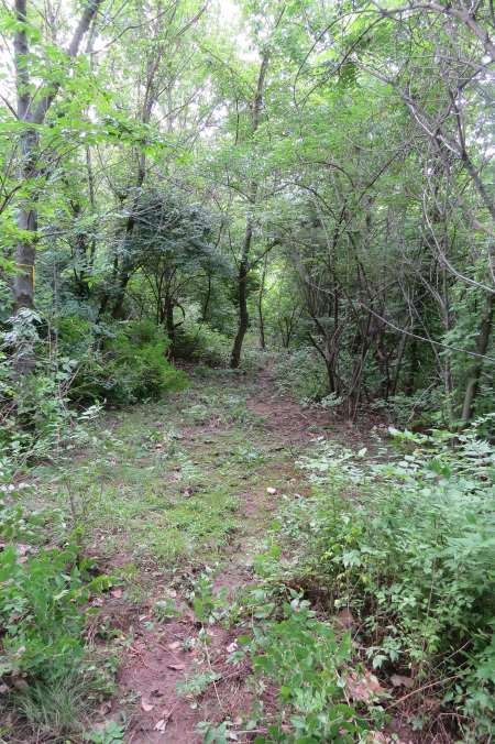 Big Blue Battlefield Walking Trail