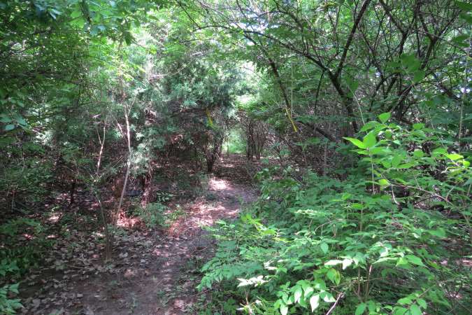 Big Blue Battlefield Walking Trail