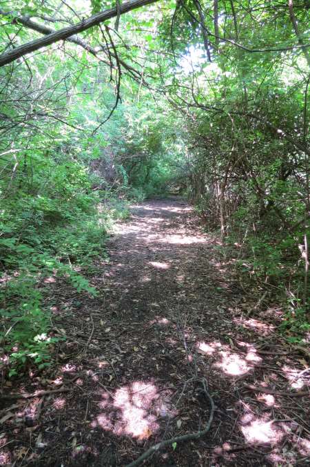 Big Blue Battlefield walking trail