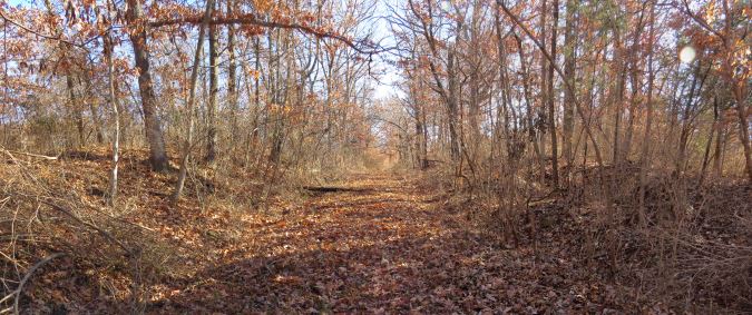 Photo taken on the Historic Byram's Ford Road