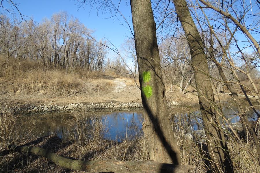 View on Dee's Battalion Trail near point where Dee's Battalion crossed the Big Blue River.