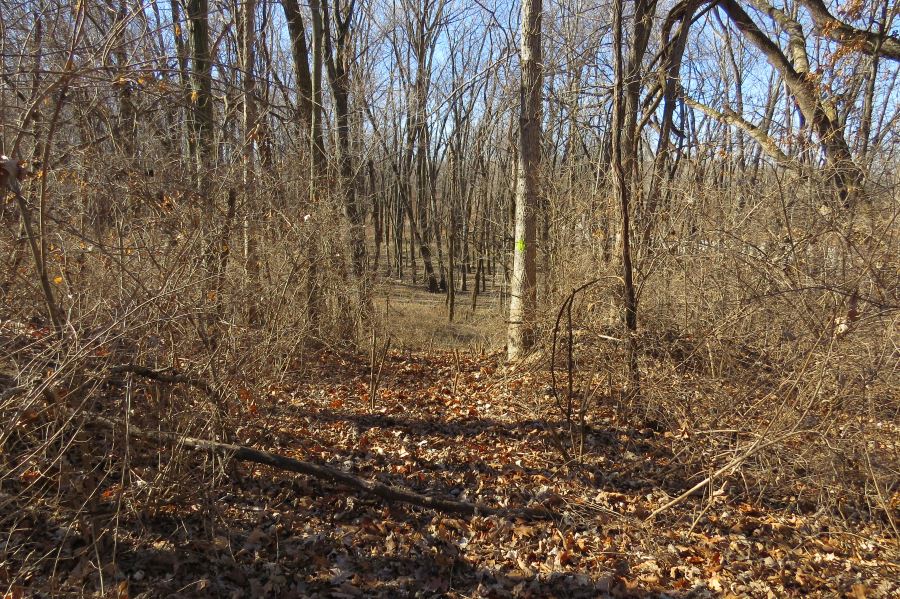 View on Dee's Battalion Trail looking down onto Big Blue River flood plain on west side of Hardesty Avenue.