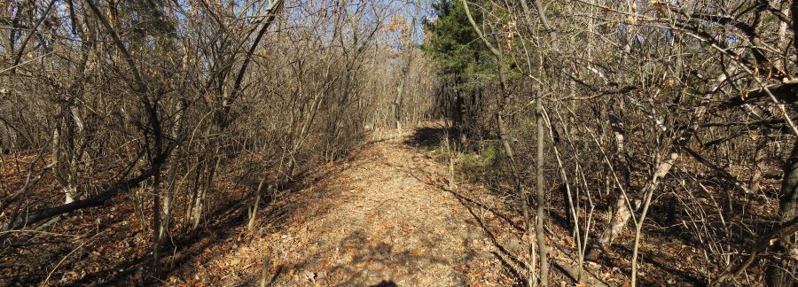 Start of Dee's Battalion Trail from Historic Byram's Ford Road.