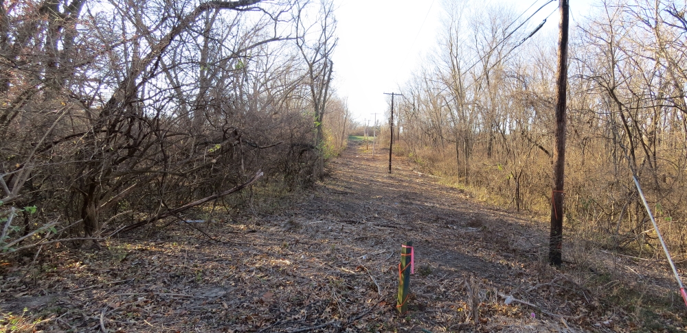 Looking west down Historic Byram's Ford Road