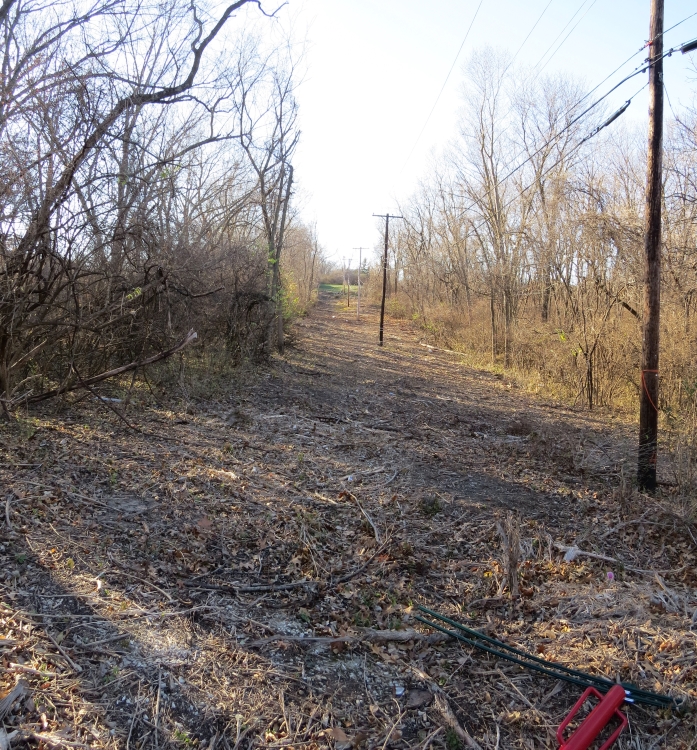 Looking west down Historic Byram's Ford Road