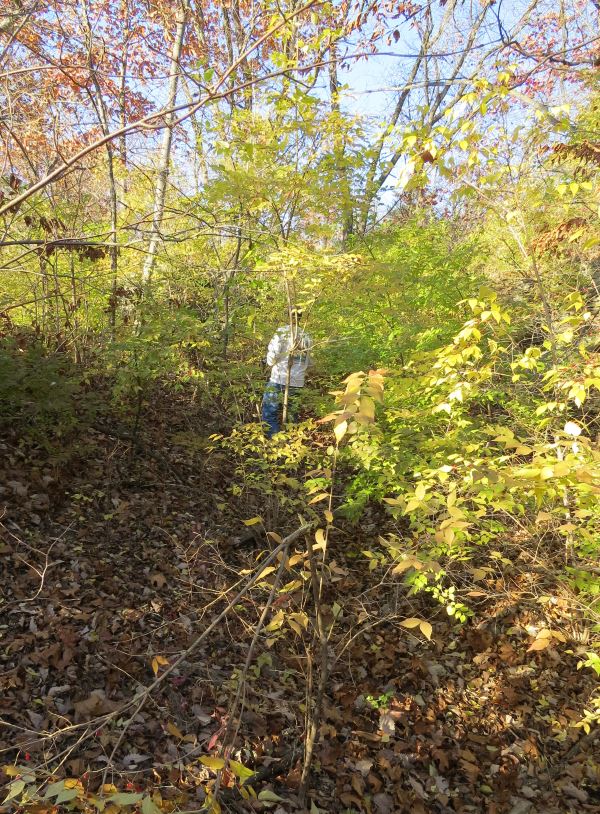 Historic Byram's Ford Road east of the Big Blue River