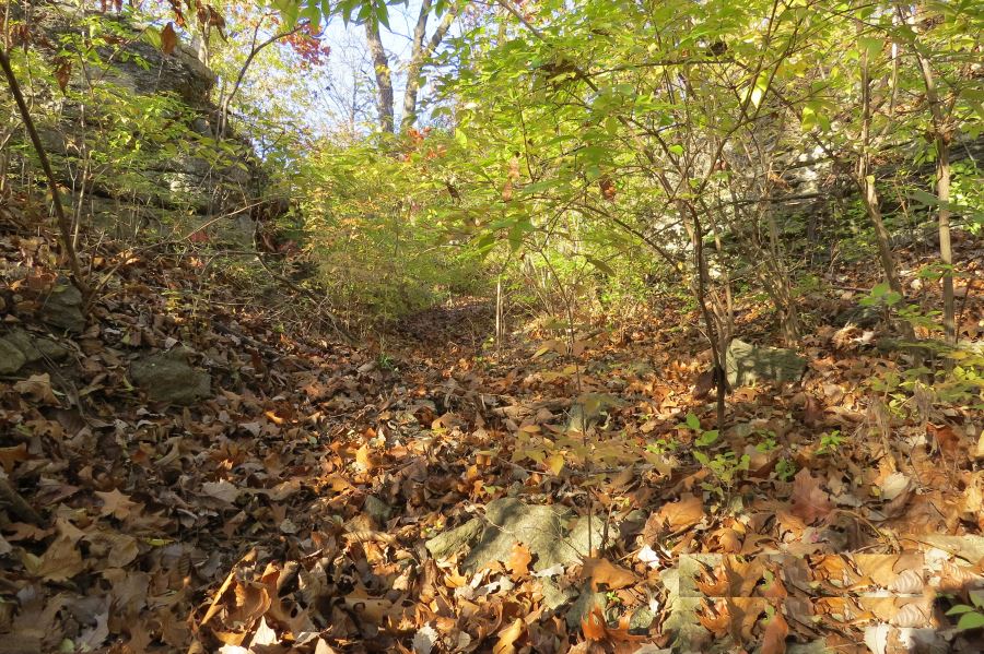 Historic Byram's Ford Road east of Hardesty