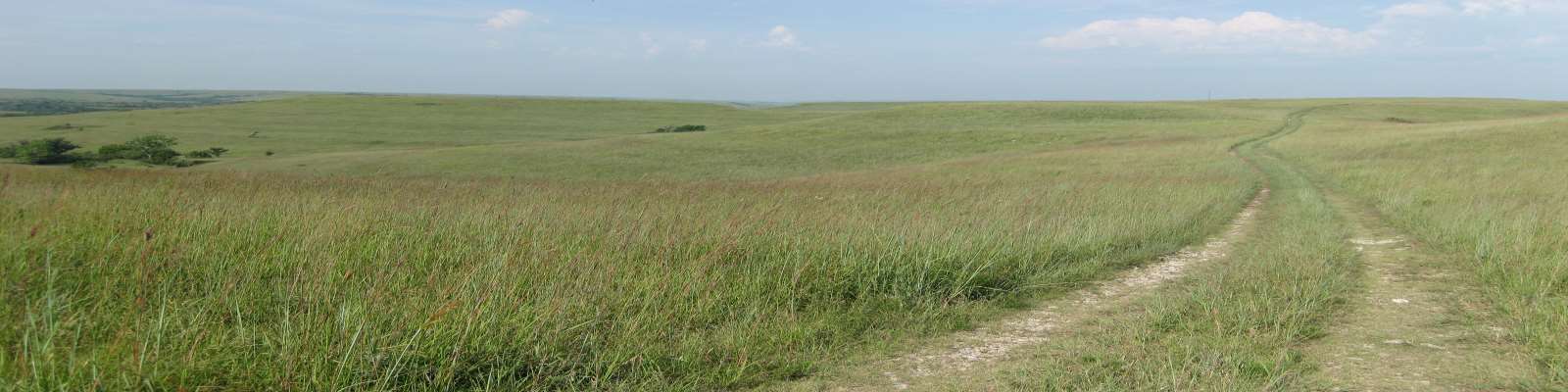 Tall grass prairie photo taken by theMuse