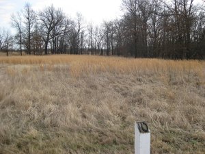 Looking East from Trail Marker 10