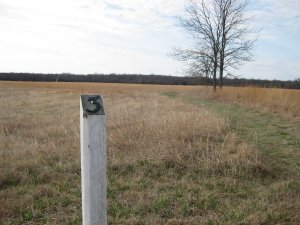 Looking South from Mine Creek Battlefield Tour Stop 3