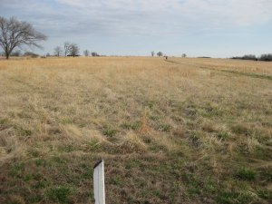 Mine Creek Battlefield Trail Marker 6 Looking North