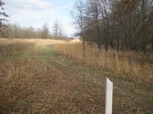 Looking North from Trail Marker 9