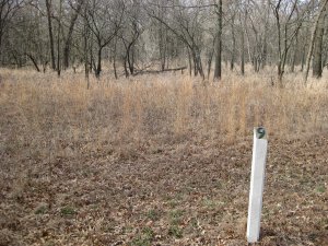 Looking West from Trail Marker 9