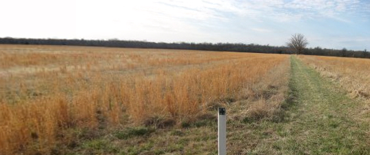 Looking South from Tour Stop 4