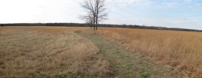 Looking South toward Mine Creek and Confederate Line of Battle