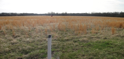 Mine Creek Battlefield Trail Marker 5 Looking South